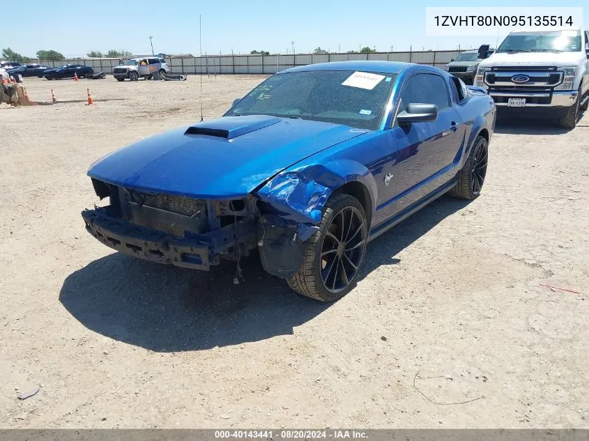 2009 Ford Mustang V6/V6 Premium VIN: 1ZVHT80N095135514 Lot: 40143441