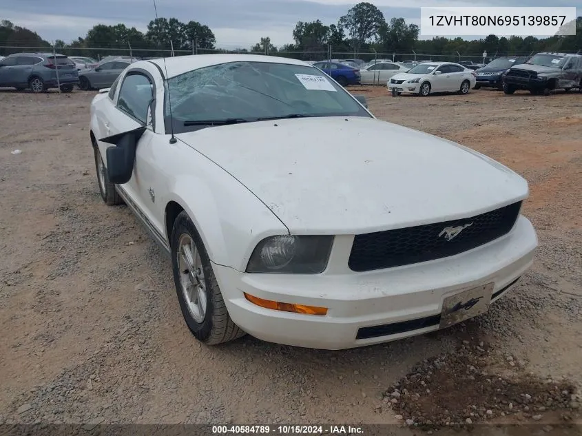 2009 Ford Mustang V6/V6 Premium VIN: 1ZVHT80N695139857 Lot: 40584789