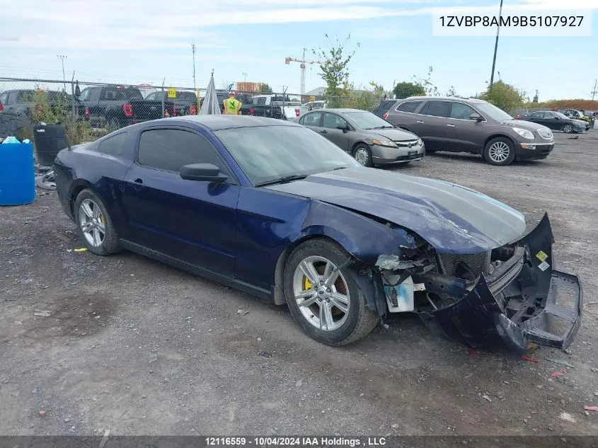 2011 Ford Mustang Value Leader VIN: 1ZVBP8AM9B5107927 Lot: 12116559