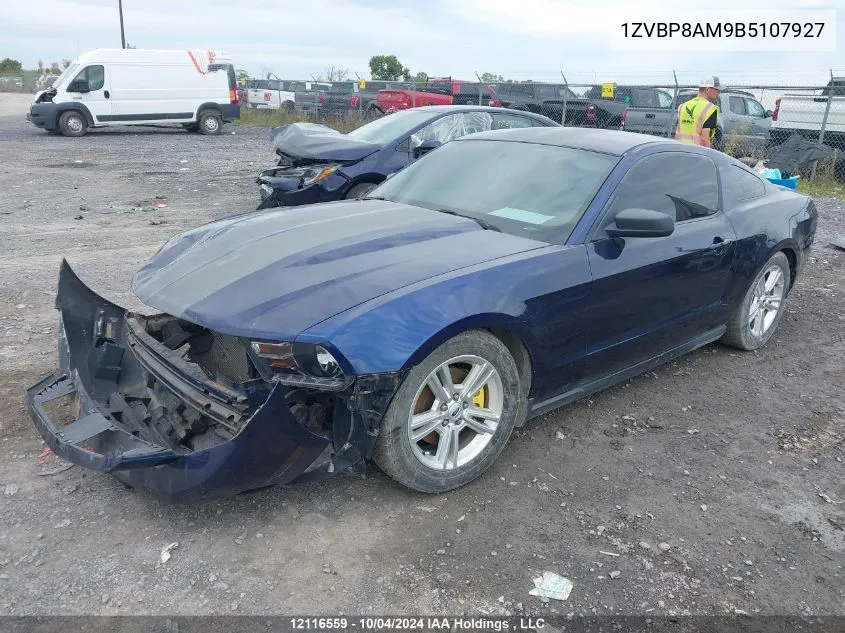 2011 Ford Mustang Value Leader VIN: 1ZVBP8AM9B5107927 Lot: 12116559