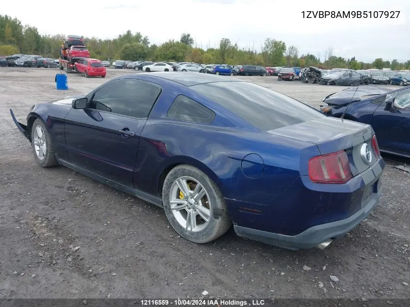 2011 Ford Mustang Value Leader VIN: 1ZVBP8AM9B5107927 Lot: 12116559