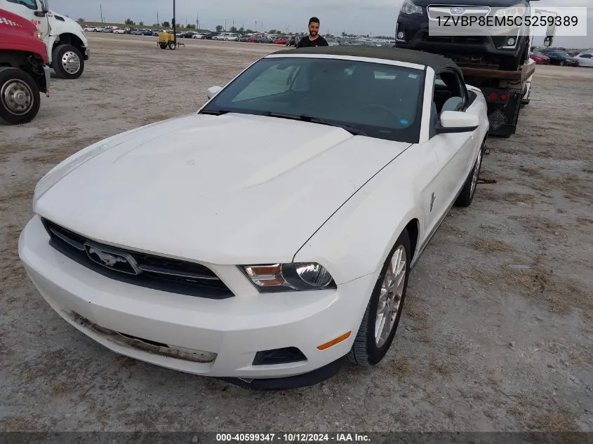 1ZVBP8EM5C5259389 2012 Ford Mustang V6 Premium