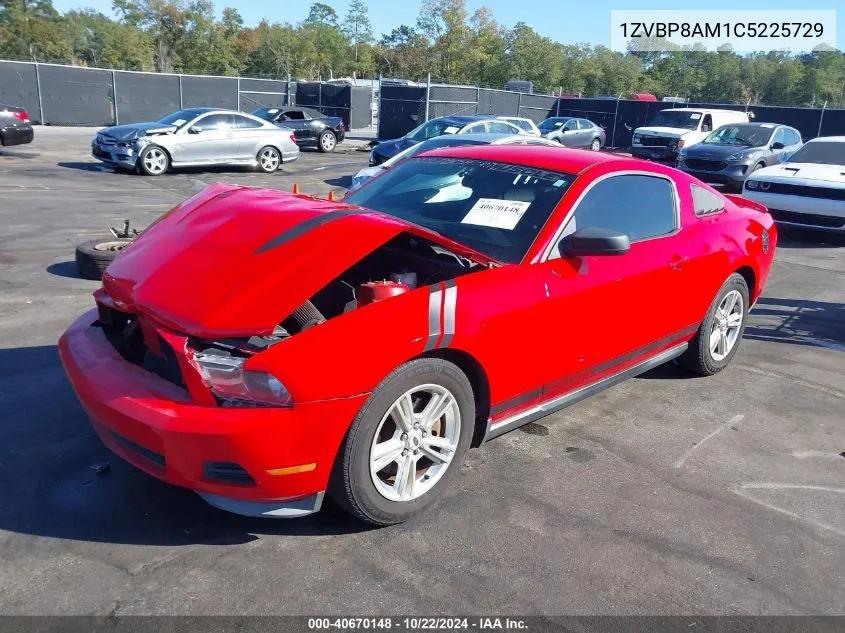 2012 Ford Mustang V6 VIN: 1ZVBP8AM1C5225729 Lot: 40670148