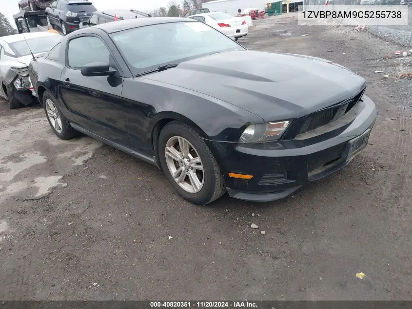 2012 Ford Mustang V6 VIN: 1ZVBP8AM9C5255738 Lot: 40820351