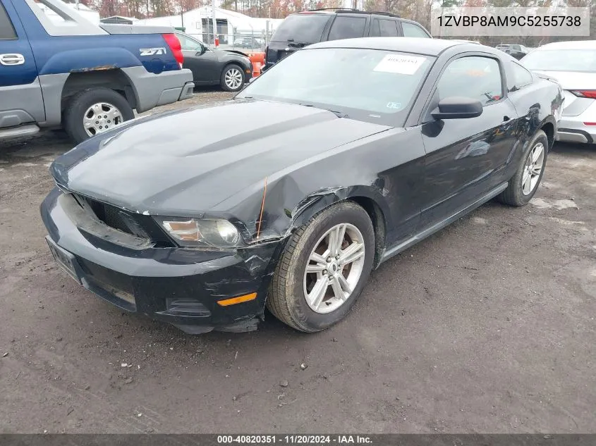 2012 Ford Mustang V6 VIN: 1ZVBP8AM9C5255738 Lot: 40820351