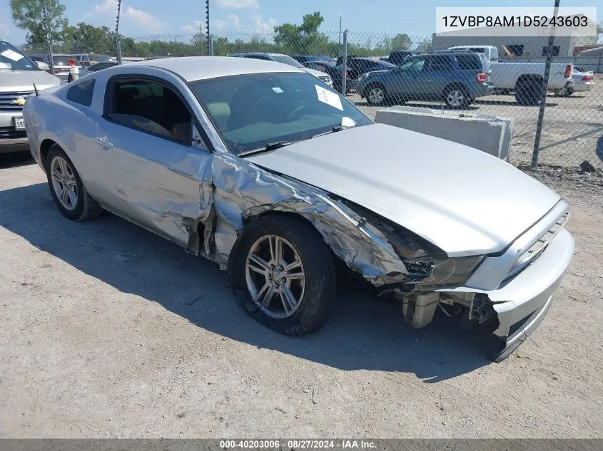 2013 Ford Mustang V6 VIN: 1ZVBP8AM1D5243603 Lot: 40203006