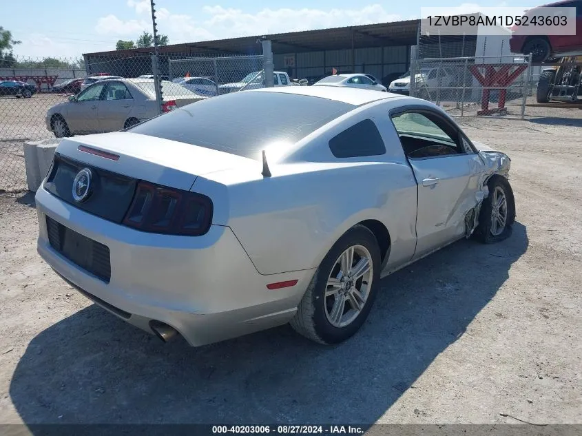 2013 Ford Mustang V6 VIN: 1ZVBP8AM1D5243603 Lot: 40203006