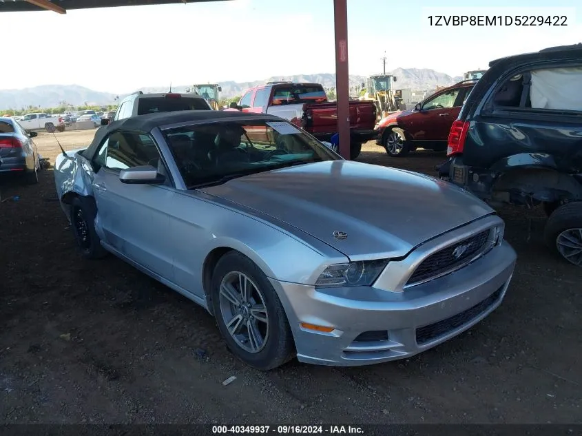 2013 Ford Mustang V6 Premium VIN: 1ZVBP8EM1D5229422 Lot: 40349937