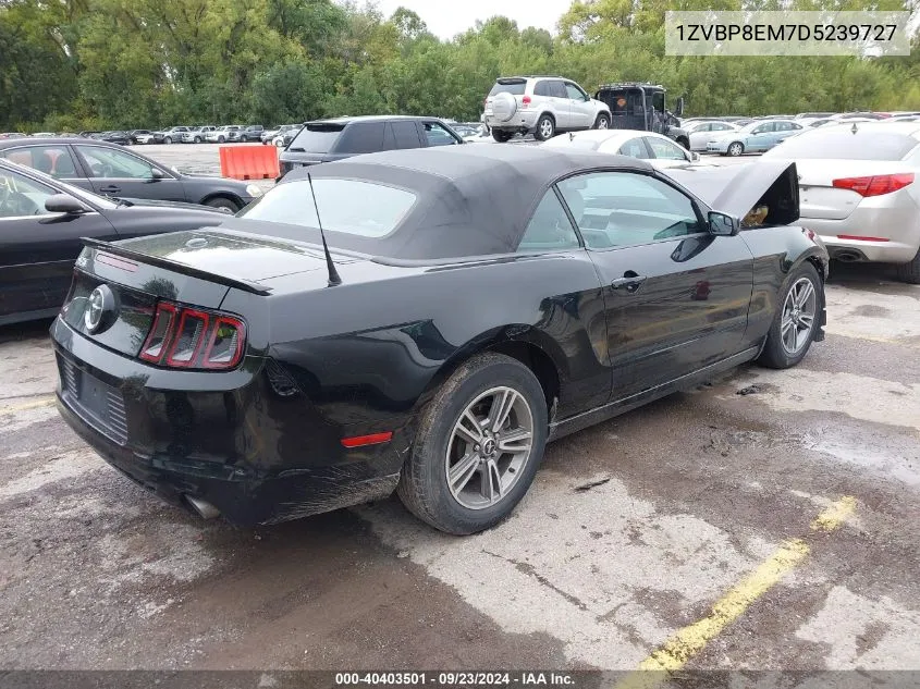 2013 Ford Mustang V6 Premium VIN: 1ZVBP8EM7D5239727 Lot: 40403501