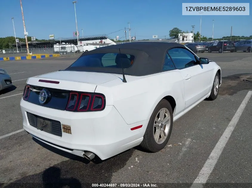 2014 Ford Mustang V6 VIN: 1ZVBP8EM6E5289603 Lot: 40244697