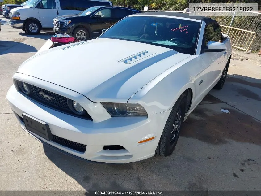 2014 Ford Mustang Gt VIN: 1ZVBP8FF5E5218022 Lot: 40923944