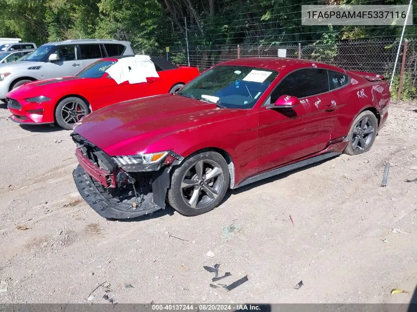 1FA6P8AM4F5337116 2015 Ford Mustang