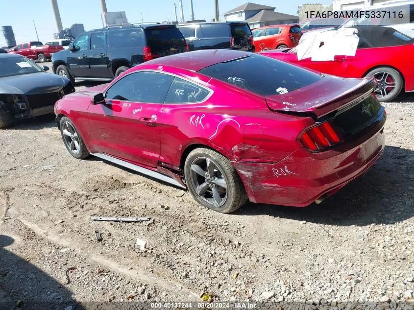 1FA6P8AM4F5337116 2015 Ford Mustang