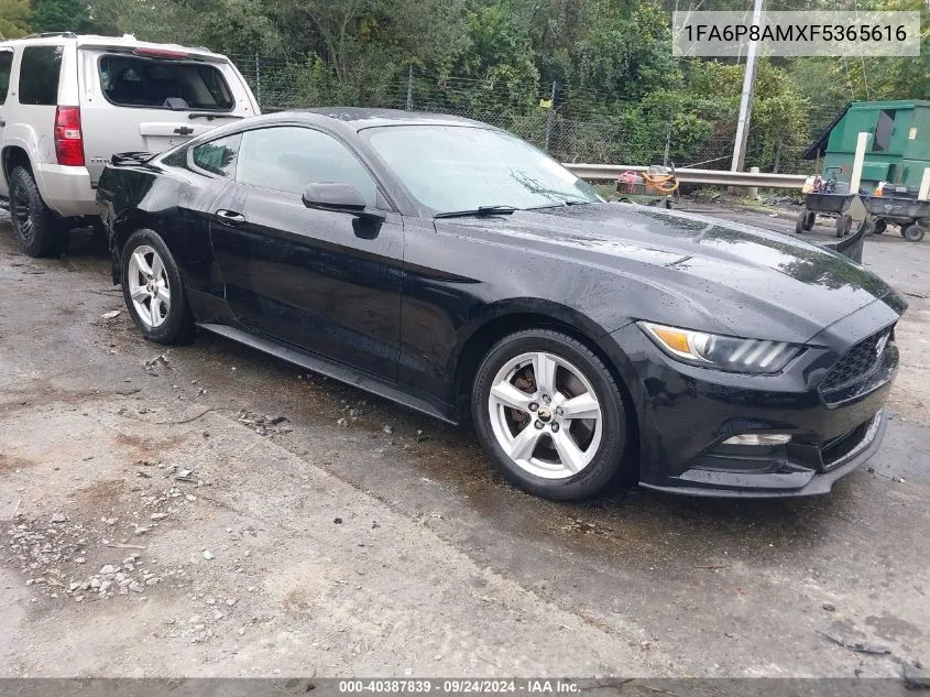 2015 Ford Mustang V6 VIN: 1FA6P8AMXF5365616 Lot: 40387839