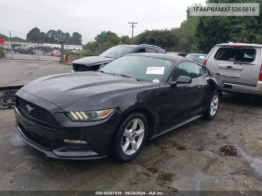 2015 Ford Mustang V6 VIN: 1FA6P8AMXF5365616 Lot: 40387839