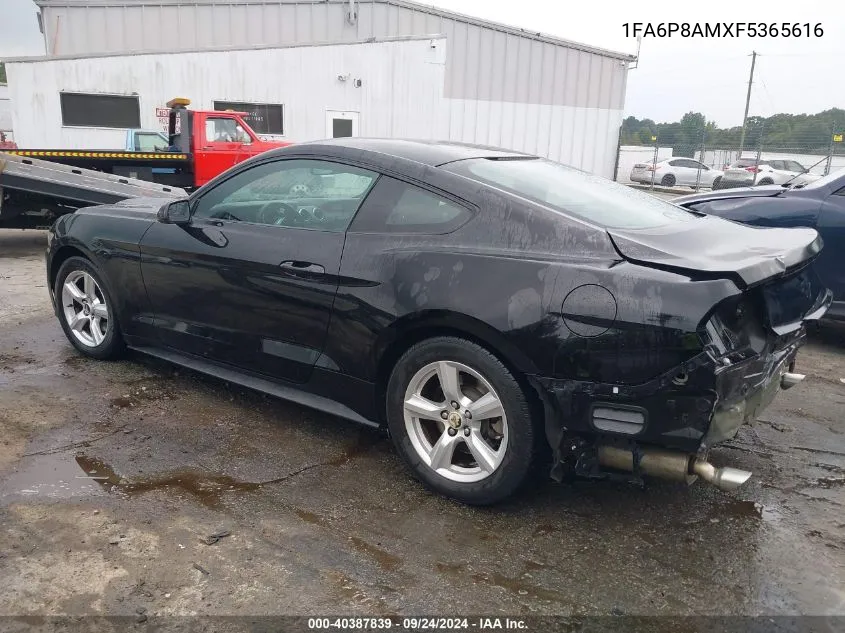 2015 Ford Mustang V6 VIN: 1FA6P8AMXF5365616 Lot: 40387839