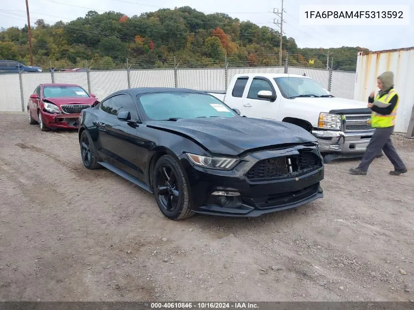 1FA6P8AM4F5313592 2015 Ford Mustang V6