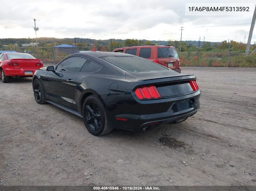 1FA6P8AM4F5313592 2015 Ford Mustang V6