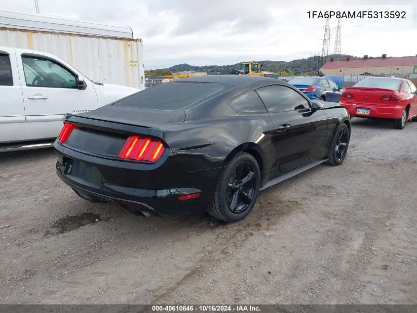 1FA6P8AM4F5313592 2015 Ford Mustang V6