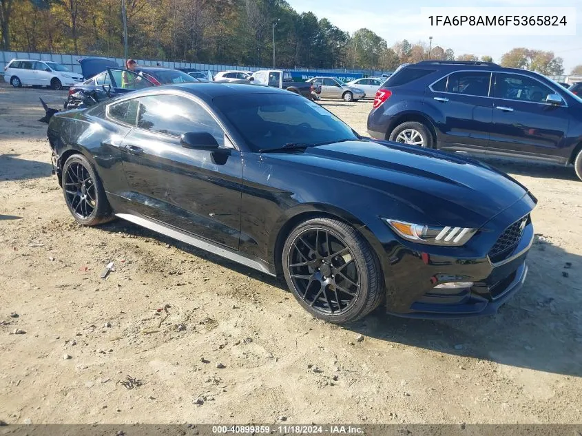 2015 Ford Mustang V6 VIN: 1FA6P8AM6F5365824 Lot: 40899859