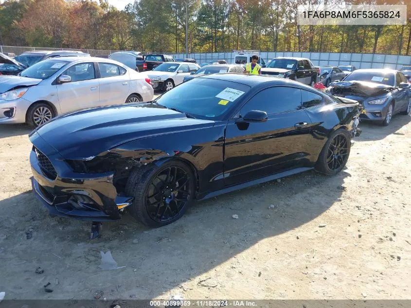 2015 Ford Mustang V6 VIN: 1FA6P8AM6F5365824 Lot: 40899859