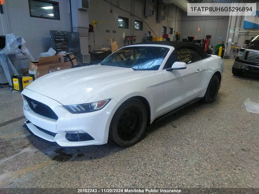 2016 Ford Mustang VIN: 1FATP8UH6G5296894 Lot: 20182243