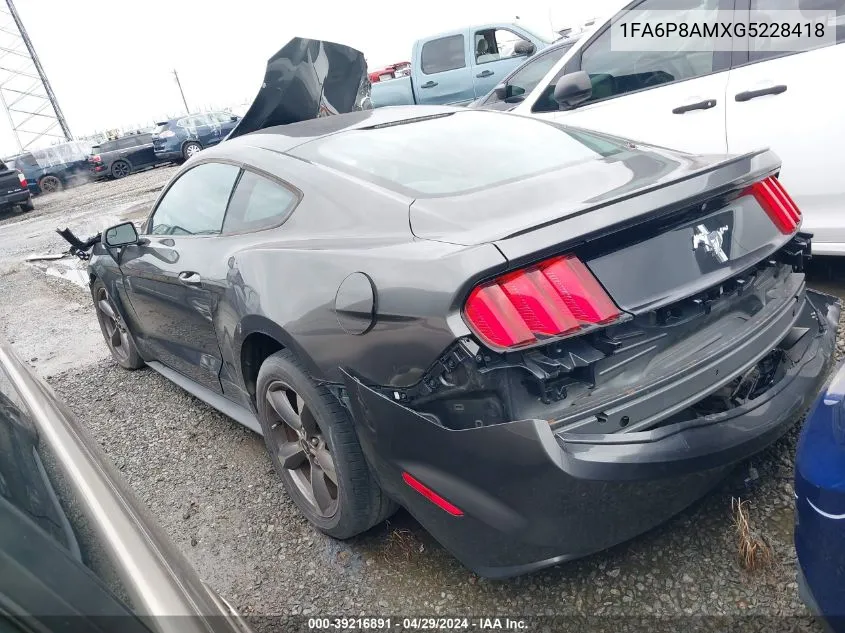 2016 Ford Mustang V6 VIN: 1FA6P8AMXG5228418 Lot: 39216891