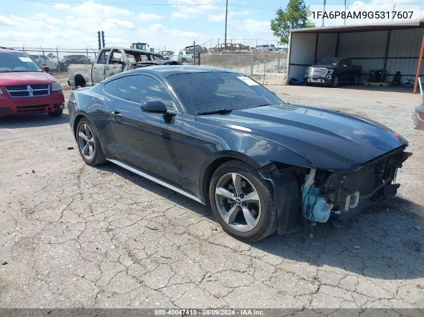 1FA6P8AM9G5317607 2016 Ford Mustang V6