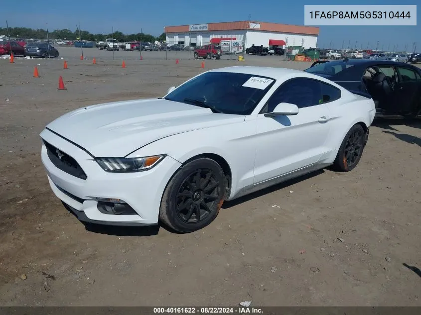 2016 Ford Mustang V6 VIN: 1FA6P8AM5G5310444 Lot: 40161622