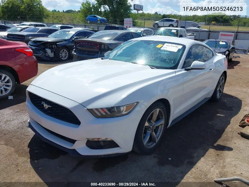 1FA6P8AM5G5246213 2016 Ford Mustang V6