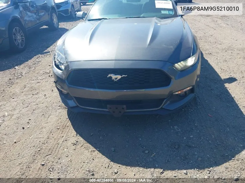 2016 Ford Mustang V6 VIN: 1FA6P8AM9G5210010 Lot: 40254808