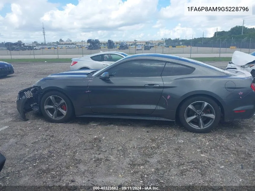 2016 Ford Mustang VIN: 1FA6P8AM9G5228796 Lot: 40323582