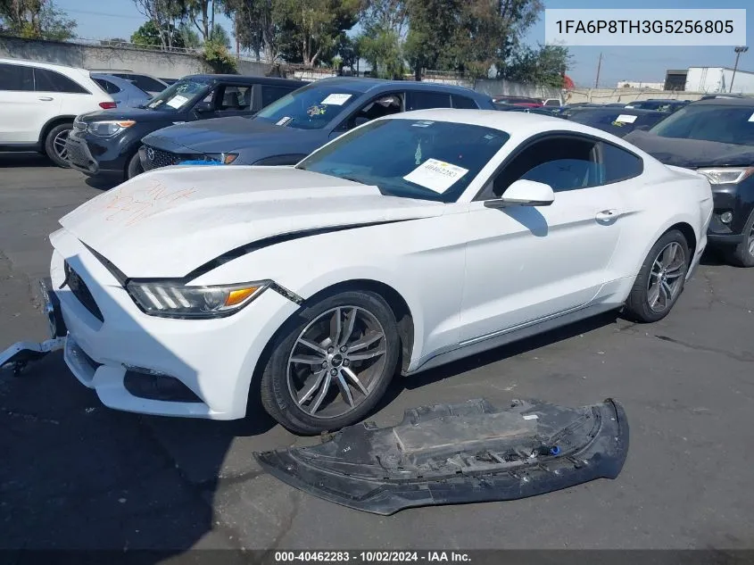 2016 Ford Mustang VIN: 1FA6P8TH3G5256805 Lot: 40462283