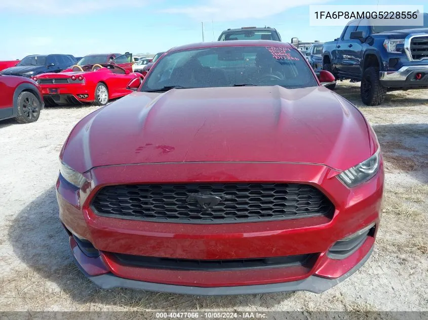 2016 Ford Mustang VIN: 1FA6P8AM0G5228556 Lot: 40477066