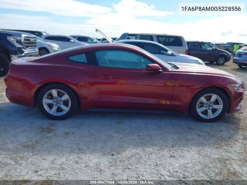 2016 Ford Mustang VIN: 1FA6P8AM0G5228556 Lot: 40477066