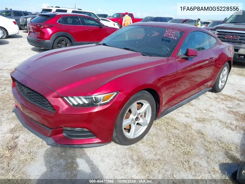 2016 Ford Mustang VIN: 1FA6P8AM0G5228556 Lot: 40477066