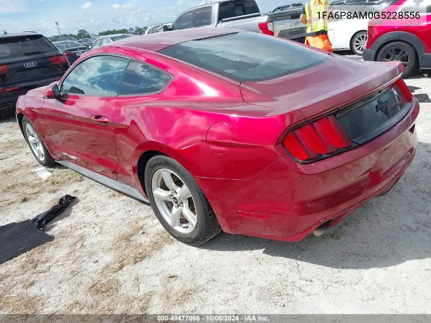 2016 Ford Mustang VIN: 1FA6P8AM0G5228556 Lot: 40477066