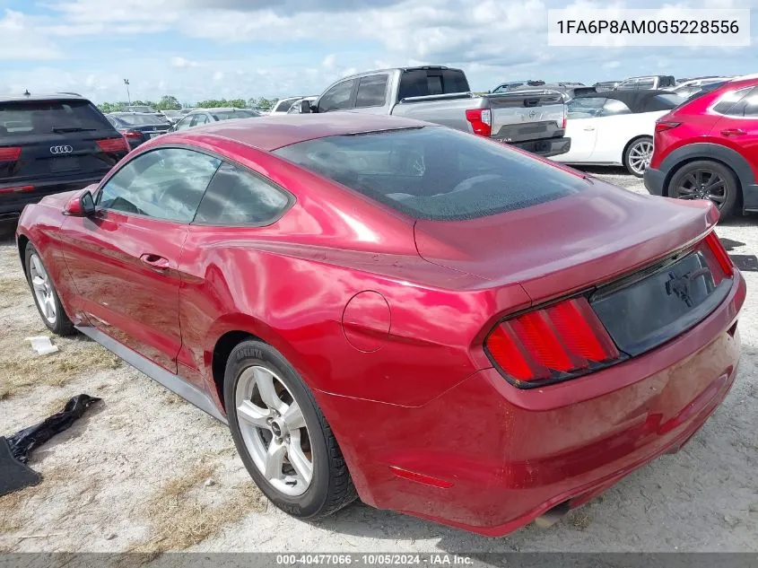 2016 Ford Mustang VIN: 1FA6P8AM0G5228556 Lot: 40477066