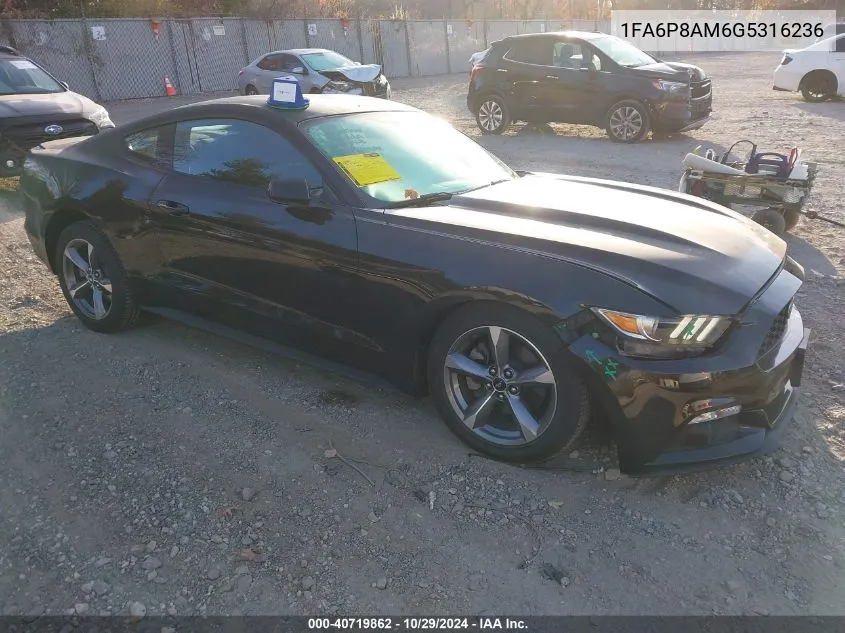 2016 Ford Mustang V6 VIN: 1FA6P8AM6G5316236 Lot: 40719862