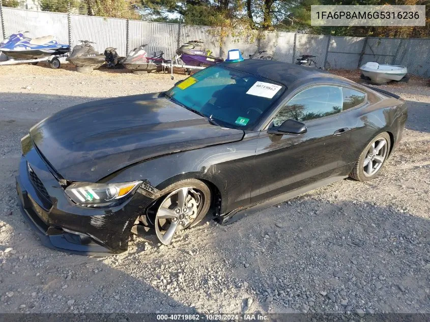 2016 Ford Mustang V6 VIN: 1FA6P8AM6G5316236 Lot: 40719862