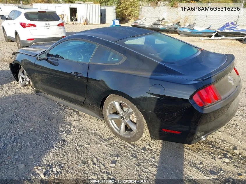 2016 Ford Mustang V6 VIN: 1FA6P8AM6G5316236 Lot: 40719862