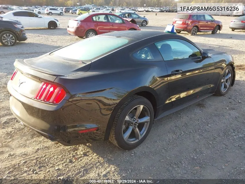 2016 Ford Mustang V6 VIN: 1FA6P8AM6G5316236 Lot: 40719862