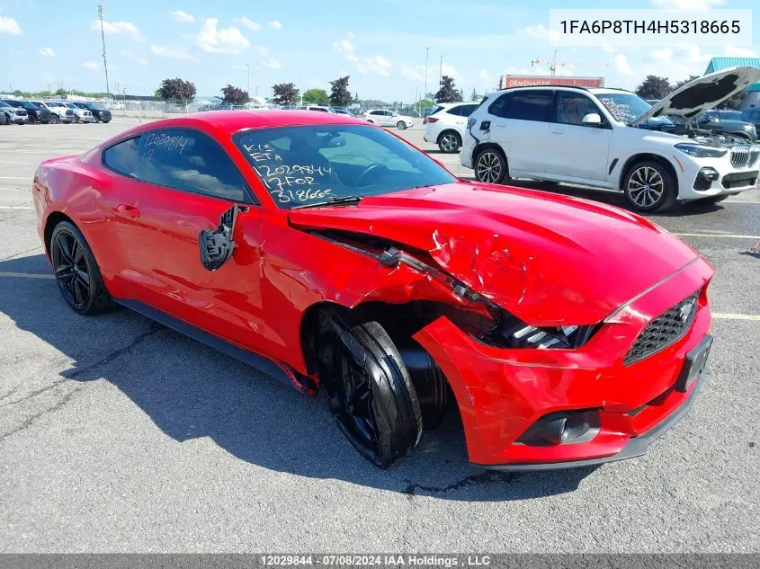 2017 Ford Mustang Ecoboost VIN: 1FA6P8TH4H5318665 Lot: 12029844