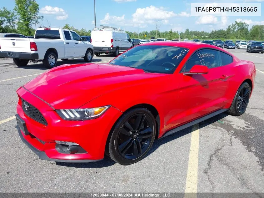 2017 Ford Mustang Ecoboost VIN: 1FA6P8TH4H5318665 Lot: 12029844