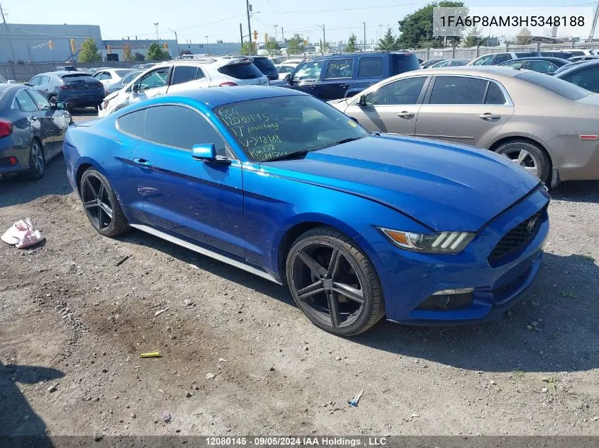 2017 Ford Mustang V6 VIN: 1FA6P8AM3H5348188 Lot: 12080145