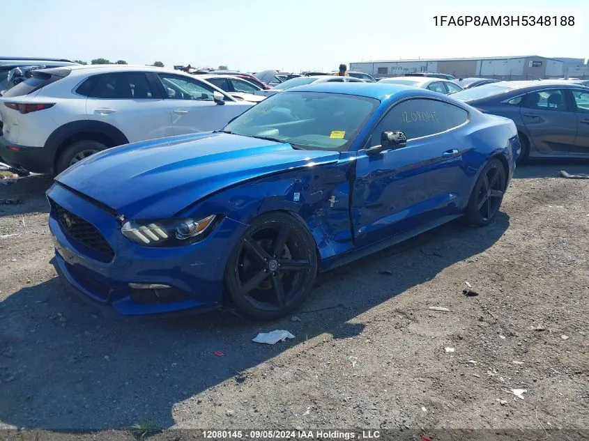 2017 Ford Mustang V6 VIN: 1FA6P8AM3H5348188 Lot: 12080145