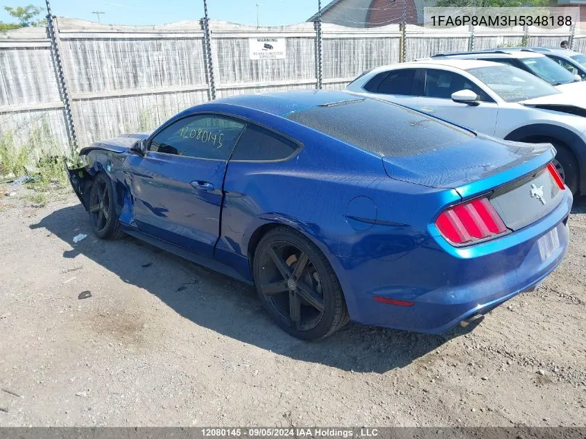 2017 Ford Mustang V6 VIN: 1FA6P8AM3H5348188 Lot: 12080145