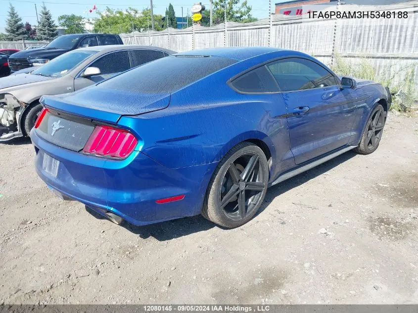 2017 Ford Mustang V6 VIN: 1FA6P8AM3H5348188 Lot: 12080145