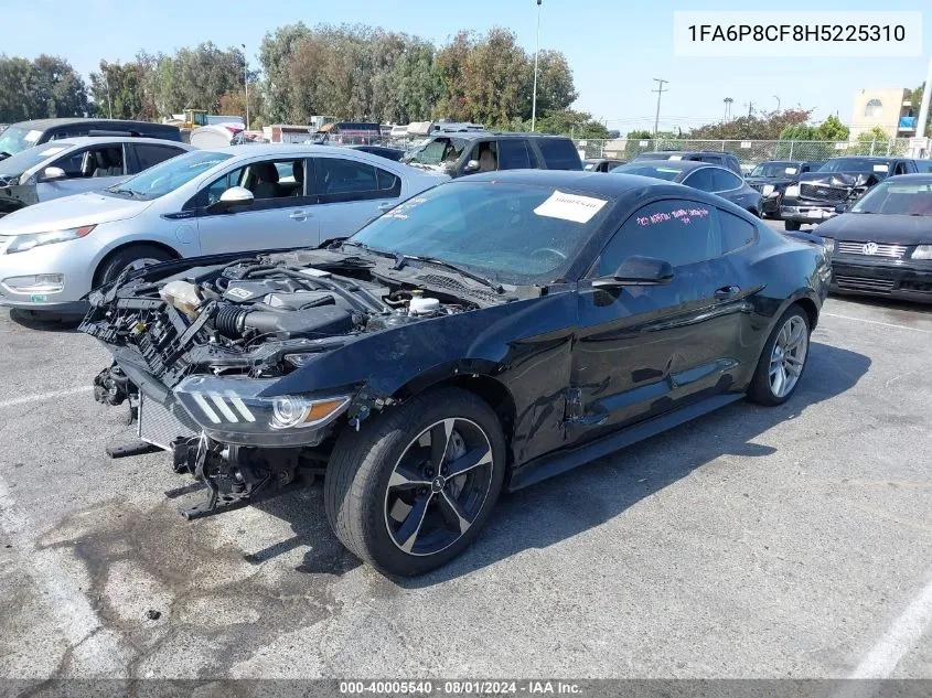 2017 Ford Mustang Gt VIN: 1FA6P8CF8H5225310 Lot: 40005540