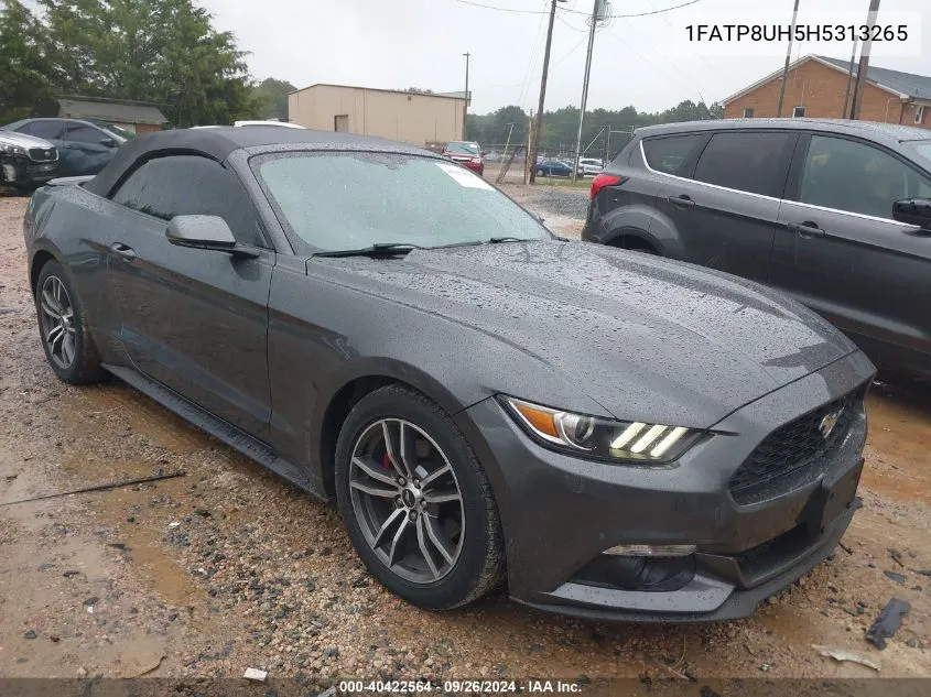 2017 Ford Mustang VIN: 1FATP8UH5H5313265 Lot: 40422564